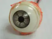 HALLOWEEN HORROR Movie PROP RIPPED OUT EYEBALL Cyborg