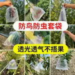 水果套袋果樹防鳥防蟲紗網袋葡萄無花果番石榴枇杷桃草莓保護袋子