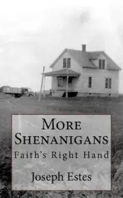 More Shenanigans: Faith's Right Hand by Glenda L. Maddox (English) Paperback Boo