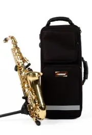 Wisemann DAS-360 Alto Saxophone, with high grade case and mouthpiece