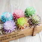2pcs Mini Artificial Succulent Plants DIY Simulated Floral Plants Home