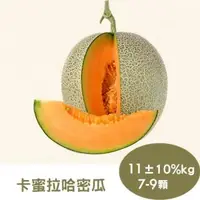 在飛比找森森購物網優惠-【RealShop 真食材本舖】卡蜜拉哈密瓜11kg±10%