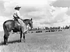 Cattle hand watching herd during round-up time Three-Circle Ranch C- Old Photo