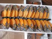 12 Feather Orange Monarch Butterflies 3inch- Artificial orange butterfly picks