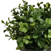 Small Artificial Buxus Plant UV Resistant 20cm Decorative Potted Greenery
