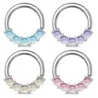 Septum Piercing Ring Cartilage Daith Nose Piercing Ear Nose Ring Z539