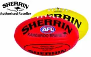 Sherrin Soft Touch PVC Football Size 1 Junior