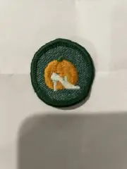 RARE 1955 - 60 Girl Scout GOOD GROOMING BADGE Pumpkin Slipper Patch BRAND NEW