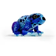 Plush toys, Wildgraphy series plush toys Cobalt poison dart frog polyester