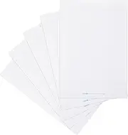 Landré Blank Flip Chart Paper with 20 Sheets per Pad 6 Holes Pack of 5