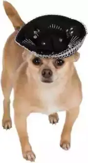 Sombrero Hat Mexican Mariachi Halloween Pet Dog Cat Costume Accessory 2 COLORS