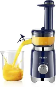 Cold Press Juicer, FEZEN Small Masticating Juicer for Fruits and Vegetables, Pow