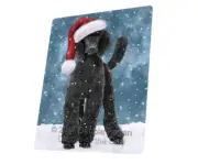 Let it Snow Christmas Holiday Poodle Black Dog Woven Throw Sherpa Blanket T247