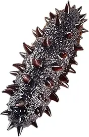 QUMIIRITY Artificial Sea Cucumber Model PVC Educational Sea Slug Toy Cognitive Food Prop
