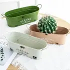 Ellipse Rustic Flowerpot with Handle Flower Pot Vintage Flower Holder