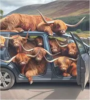 Highland Cattles in Car Dishwasher Magnet Covers, Dishwasher Covers Front, Stainless Steel Fridge Cover