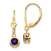 14k Yellow Gold 5mm Amethyst Leverback Earring