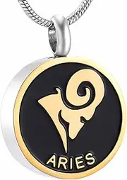 DOTUIARG Cremation Urn Necklace for Ashes Stainless Steel Remembrance Jewelry Jewelry Cremation
