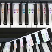 Colorful Piano Keyboard Notes Beginner, Removable Note Labels Learning, 88 Key F