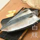 (即期良品41折)【明堯】南方澳頂級薄鹽白腹鯖魚片(150g/片) 效期至2024.7.3