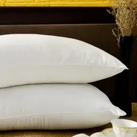 在飛比找momo購物網優惠-【Cozy inn】法國羊毛枕(1入)