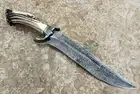 17.00" Custom Hand Made Beautiful Damascus Steel Crown Stag Bowie Knife (2507)