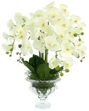 Creative Displays Orchid Floral Arrangement With Leaves And Vines In Glass Pedestal Vase
