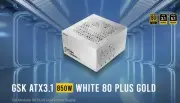 Antec GSK850 80+ Gold White Fully Modular ATX 3.1, PCI-E 5.1 latest High Quality