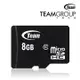 《SUNLINK》十銓 Team 8G 8GB microSD TF C10 記憶卡