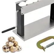 304 Stainless Steel Manual Quail Egg Peeler with Clamp for Effortless Shelling