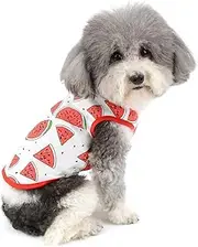 Zunea Dog Shirts for Small Dogs Soft Cotton Summer Vest Basic T-Shirts Sleeveless Puppy Clothes Cool Tank Top Pet Fruits Tee Shirt Chihuahua Yourkshire Clothing Apparel Red M