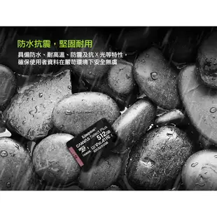 Kingston 金士頓 Micro 256G U3 V30 A1 記憶卡 SD卡 附轉卡 讀100MB/s