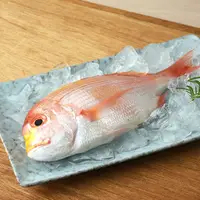 在飛比找台灣好農優惠-【魚寶貝】南方澳船釣野生赤鯮300g