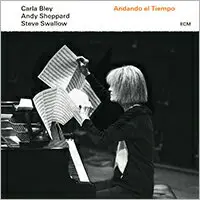 在飛比找樂天市場購物網優惠-卡拉．布雷ECM三重奏：時光流逝 Carla Bley / 