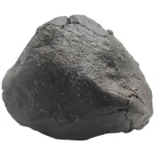 1070g NWA Chondrite Meteorite TE04
