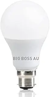 10 Pack x 12W AC/DC 240V Light Globes Bulbs Lamp A60 Bayonet B22 Daylight 6500K