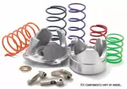 EPI Mudder Clutch Kit WE437221