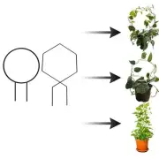 Plant Climbing Frame Yard Plant Support Support Frame Vegetables Vine Garden