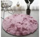 Fluffy Shag Area Rug Non-slip Soft Plush Rug Modern Style Washable Round Carpet