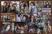 Welcome Back Kotter 1975 Custom Poster. 11x17! Buy any 2 Posters Get 3rd FREE!!!