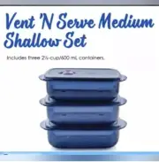 Tupperware Vent' N Serve Medium Shallow Container Set New
