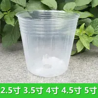 在飛比找淘寶網優惠-蝴蝶蘭專用花盆營養杯石斛拼組盆育苗杯塑料透明植物育苗袋定植缽