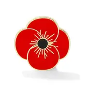 Lest we forget the poppy pin badge brooch: Veterans and Military Remembrance Day poppy badge
