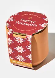[Modern Sprout] Festive Poinsettia Tiny Terracotta Kit