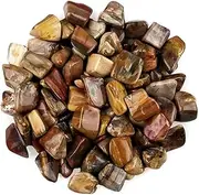 Pachamama Essentials Tumbled Petrified Wood, Petrified Wood Stone, Fossilized Wood (20-25mm) 5 Pieces