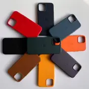 Apple iPhone Leather Case with MagSafe - iPhone 12, 12 Mini and 12 pro max and
