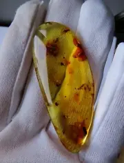 Amber copal with 11 flies and mosquitoes, 1 cm wing, beetle leg - 8 grs