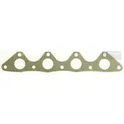 Platinum Extractor Gasket - HSM306
