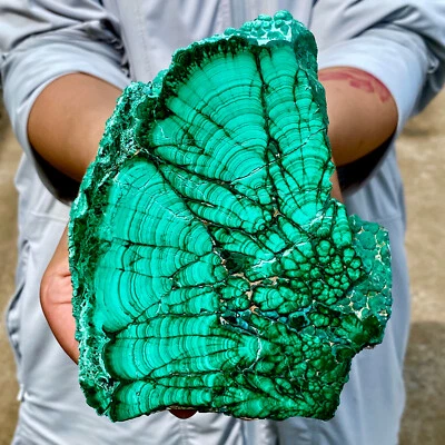 1.3LB Natural Green Malachite Crystal Flaky Pattern Ore Specimen Quartz Healing