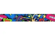 Guitar Strap 60's Flashback XTR 2 Inch Poly Web Material, Leather Ends